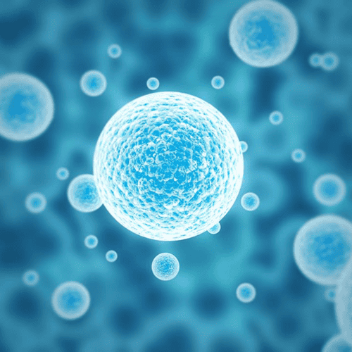 Bacteriophage Treatment in Turkey – Definition and Procedures